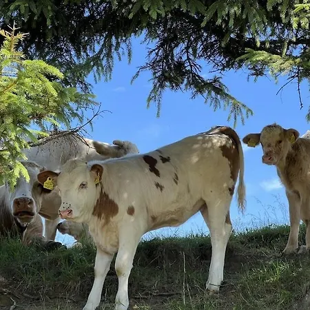 Hébergement de vacances 1-bedroom