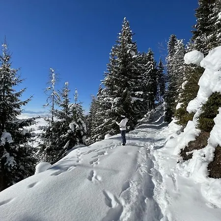 1-bedroom Hébergement de vacances Zirkitz