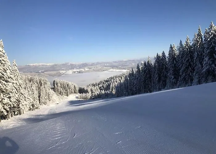 Dom wakacyjny 1-bedroom Zirkitz