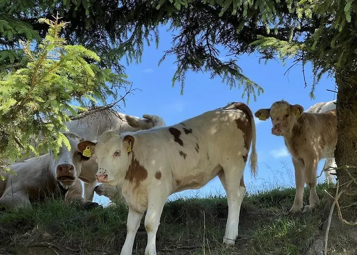 Dom wakacyjny 1-bedroom