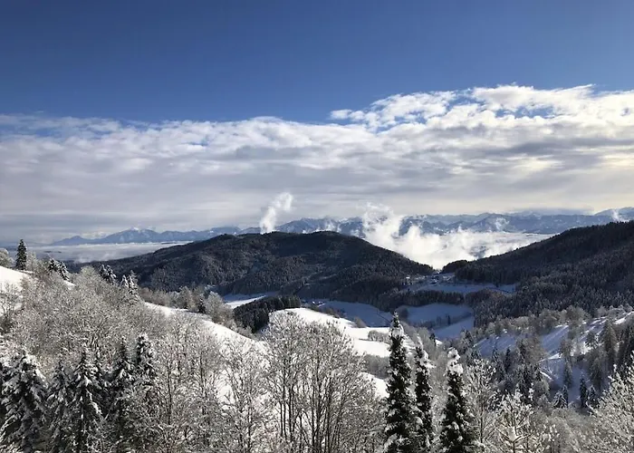 Dom wakacyjny 1-bedroom *