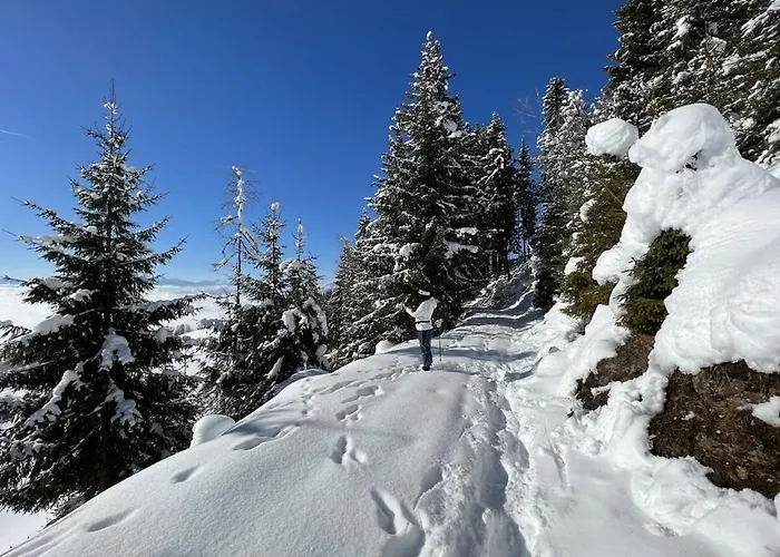 1-bedroom Dom wakacyjny Zirkitz