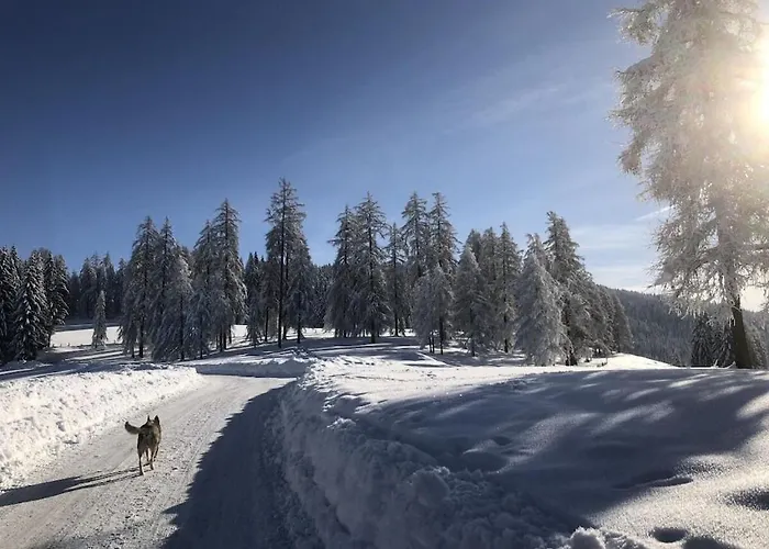 1-bedroom Dom wakacyjny