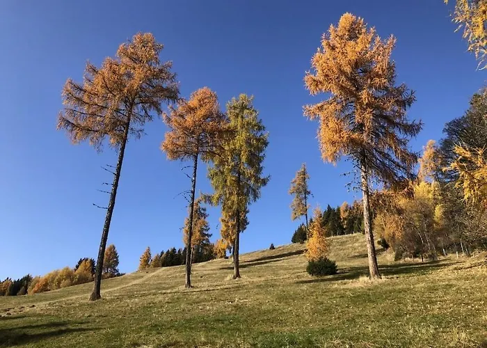 Dom wakacyjny 1-bedroom